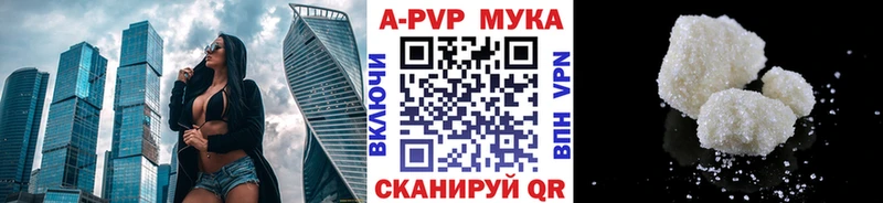 дарнет шоп  Лебедянь  A PVP СК 