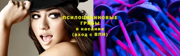 гидропоника Абдулино