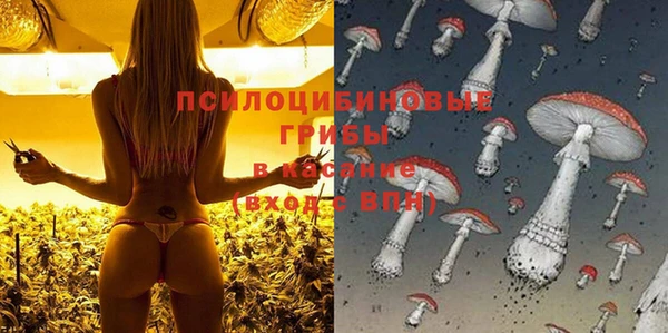 гидропоника Абдулино