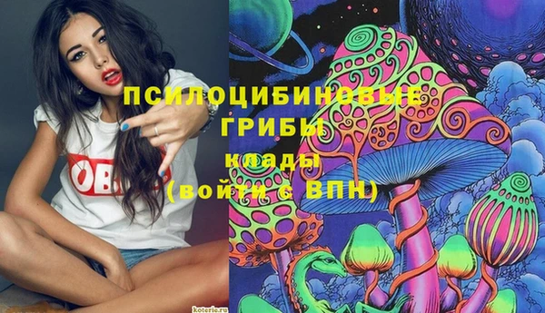 гидропоника Абдулино