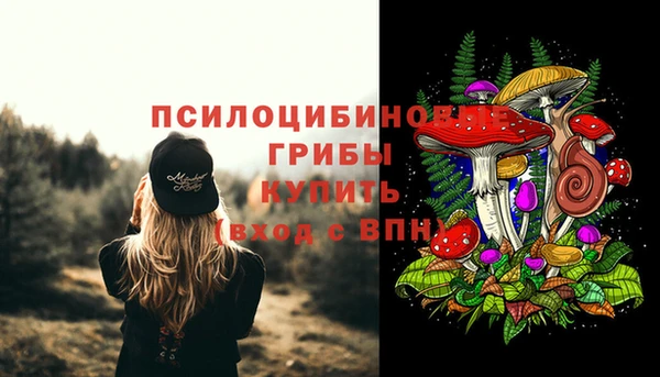 герыч Абаза