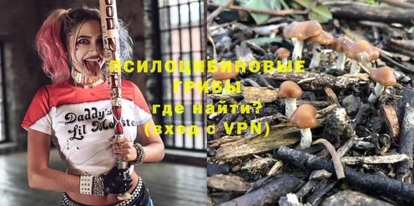 твердый Переславль-Залесский