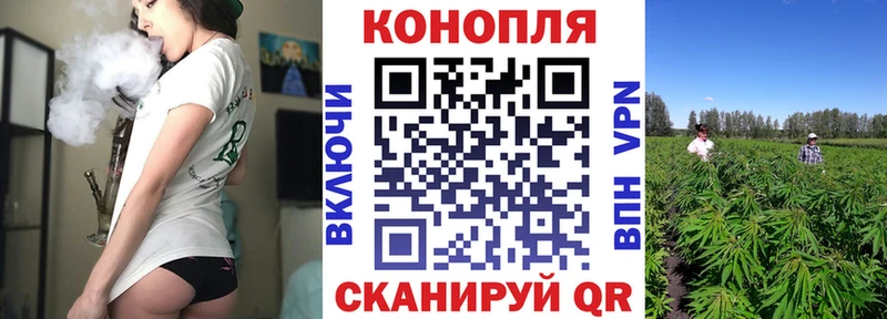 купить наркотики сайты  Лебедянь  Каннабис план 